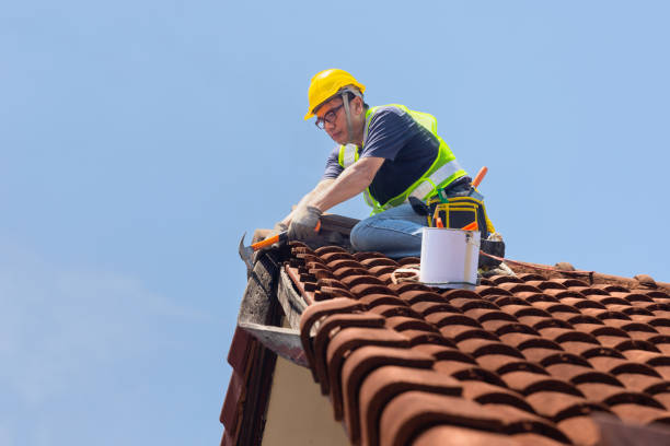 Roof Coating Services in Livonia, MI